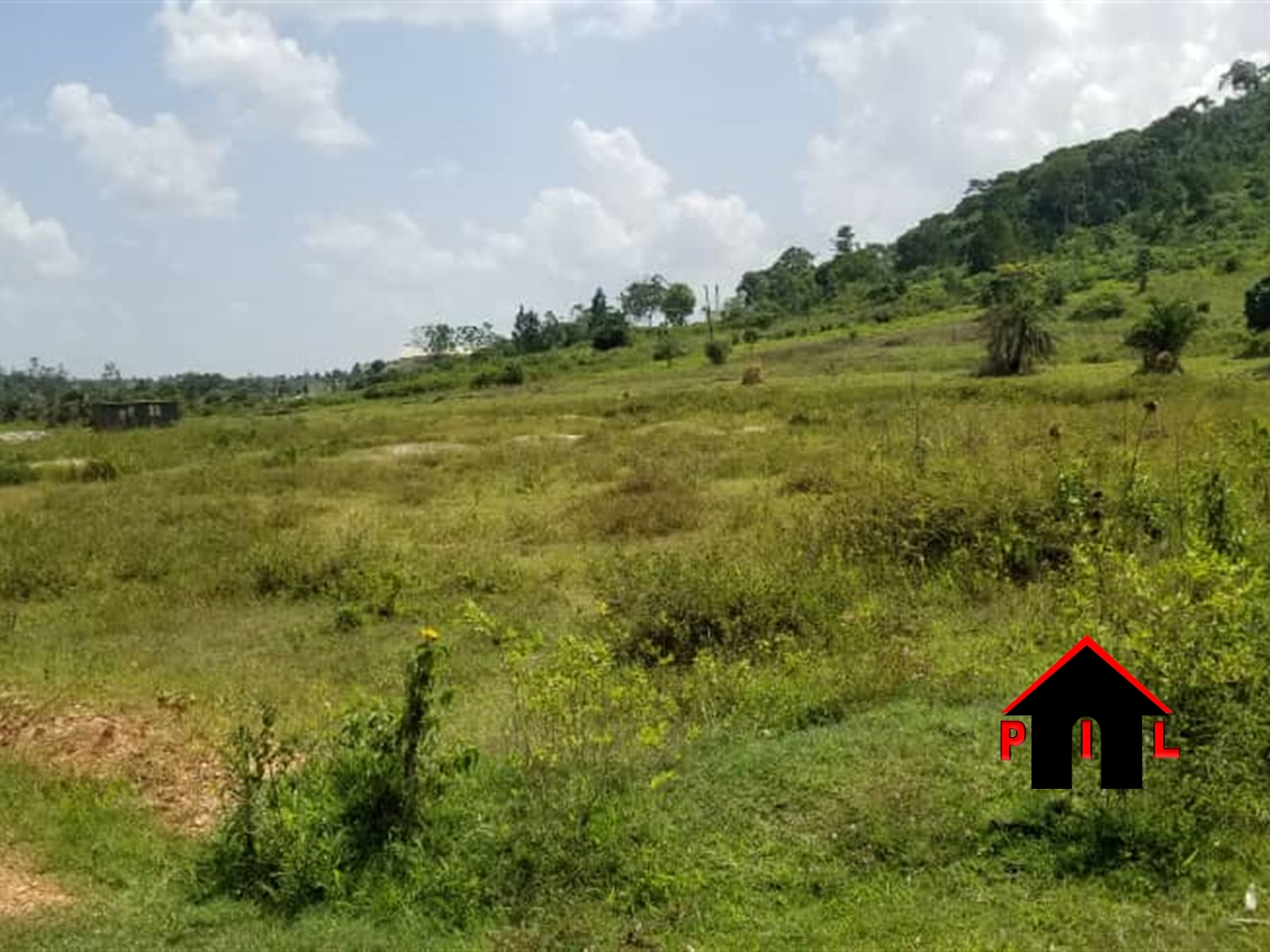Agricultural Land for sale in Sambwe Wakiso Uganda, code ...