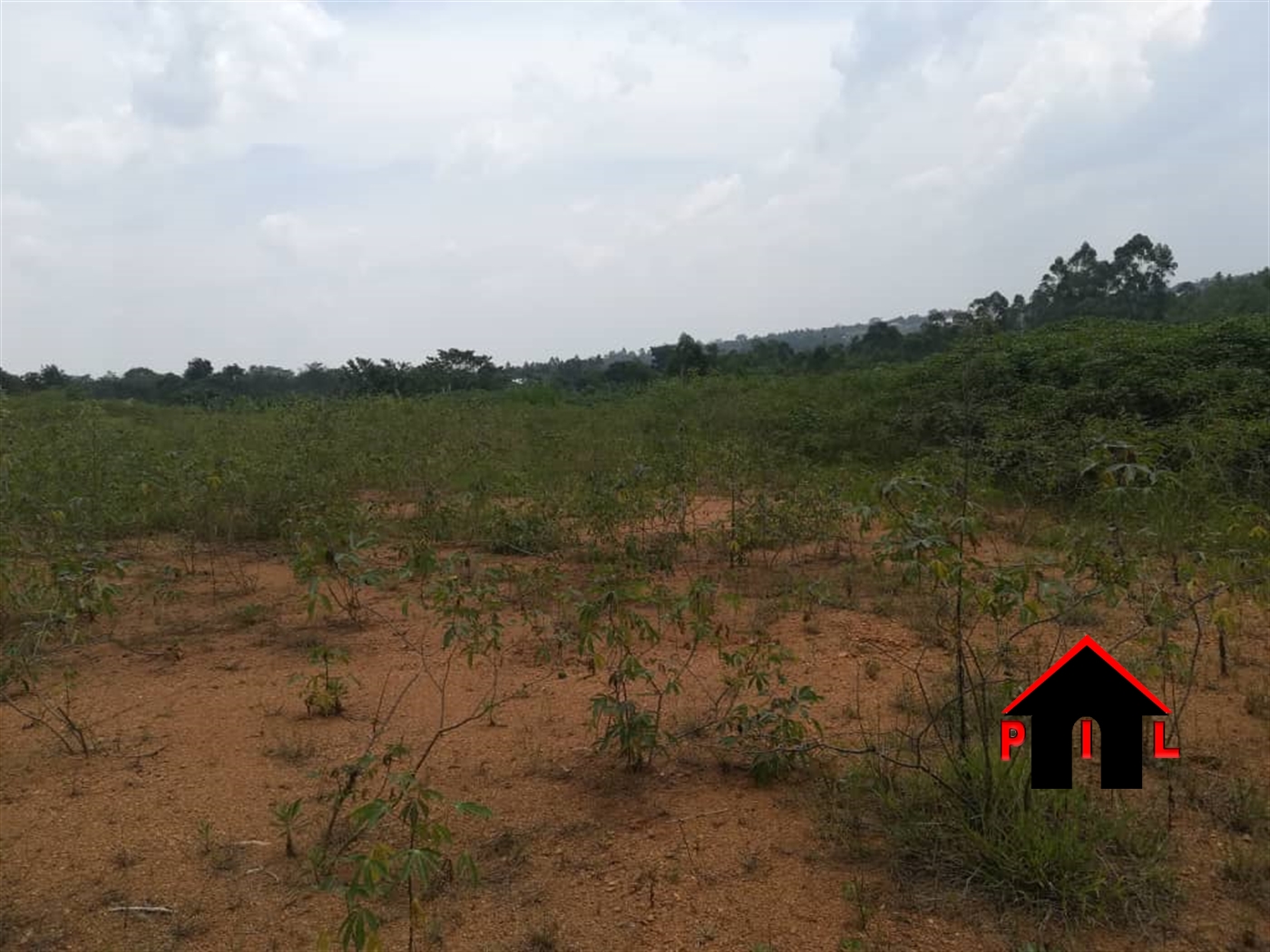 Agricultural Land for sale in Matugga Wakiso Uganda, code: 95519, 24/03 ...