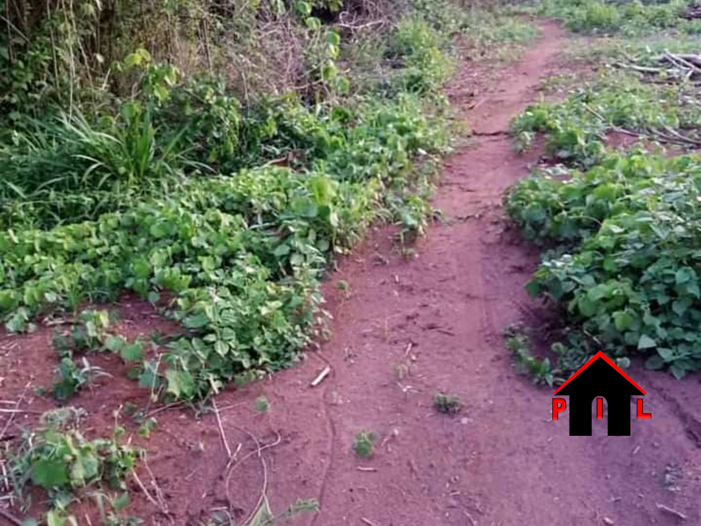 Agricultural Land for sale in Kiwenda Wakiso