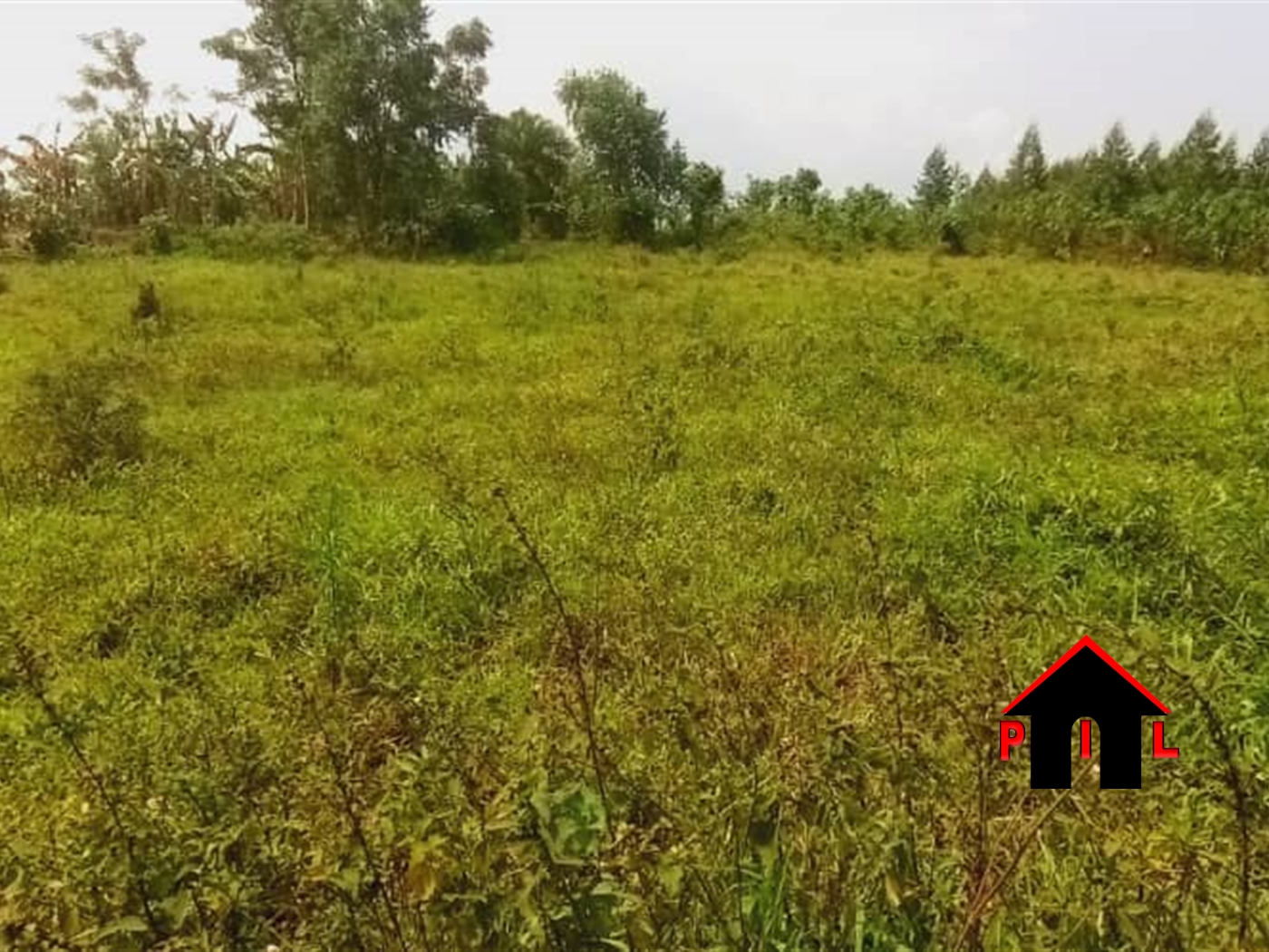 Agricultural Land for sale in Kisoga Mukono