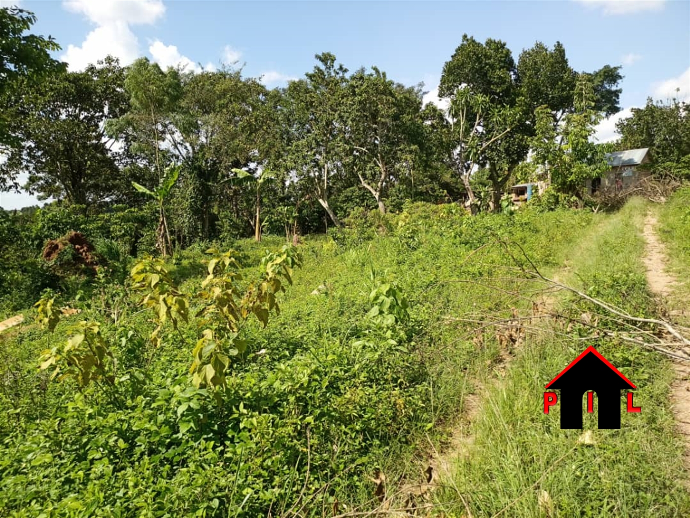 Agricultural Land for sale in Namayiba Mukono