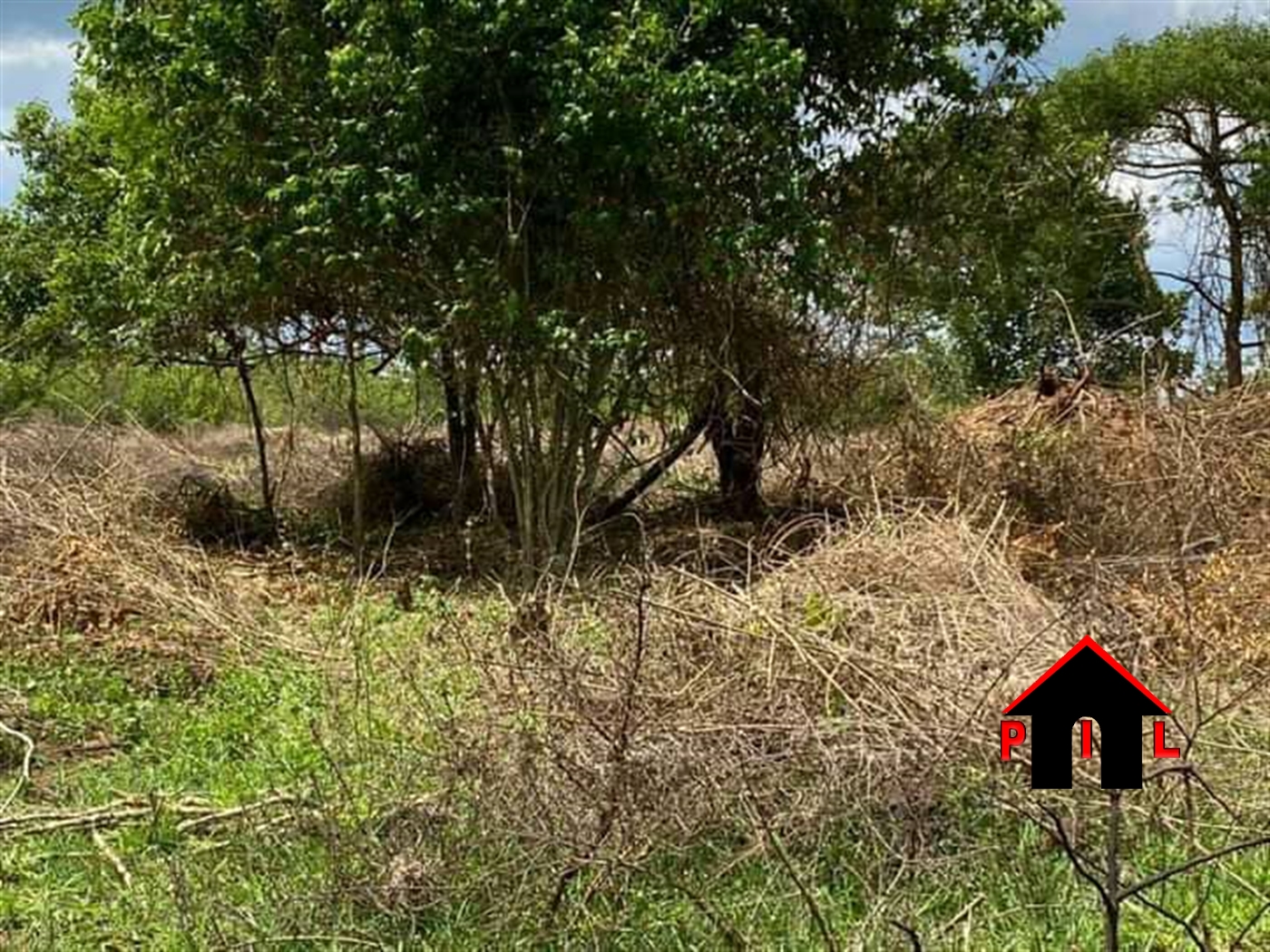 Agricultural Land for sale in Katikamu Luweero