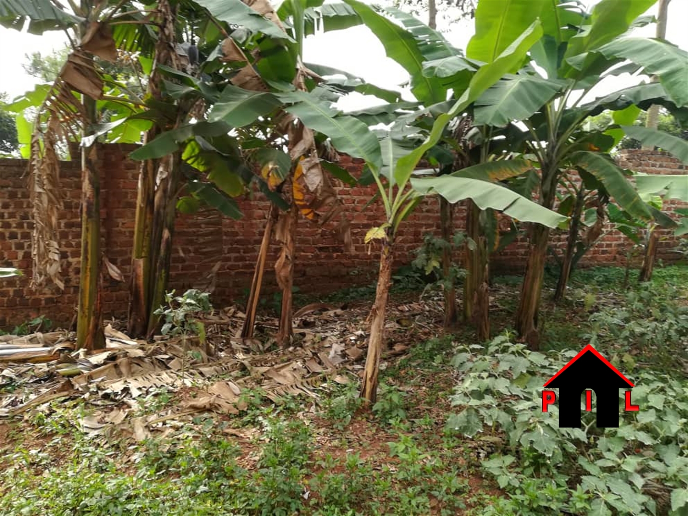 Agricultural Land for sale in Madu Gomba