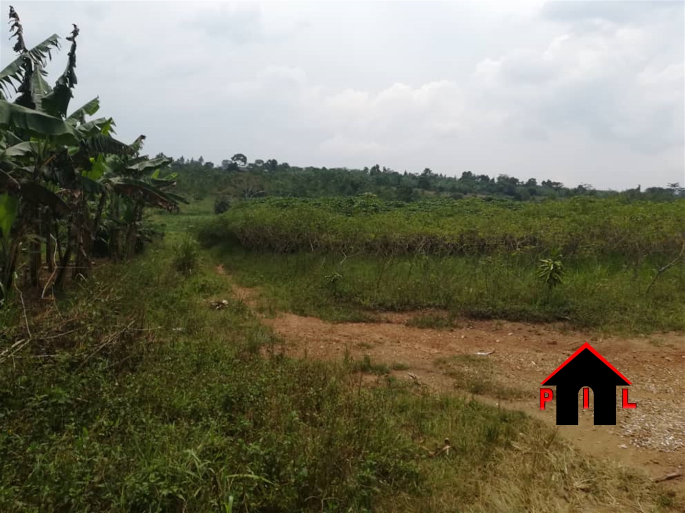 Agricultural Land for sale in Madu Gomba