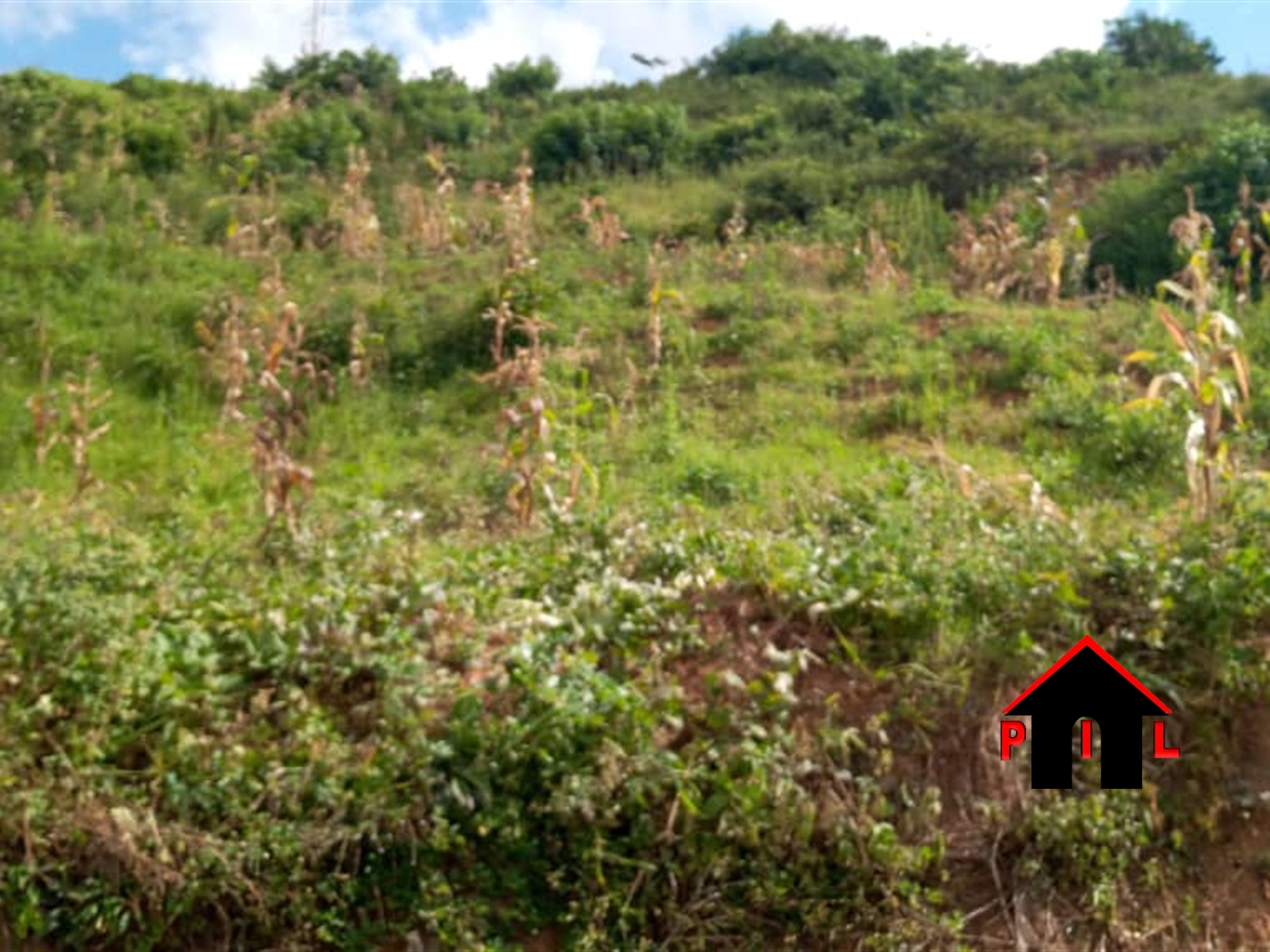 Residential Land for sale in Kawanda Wakiso