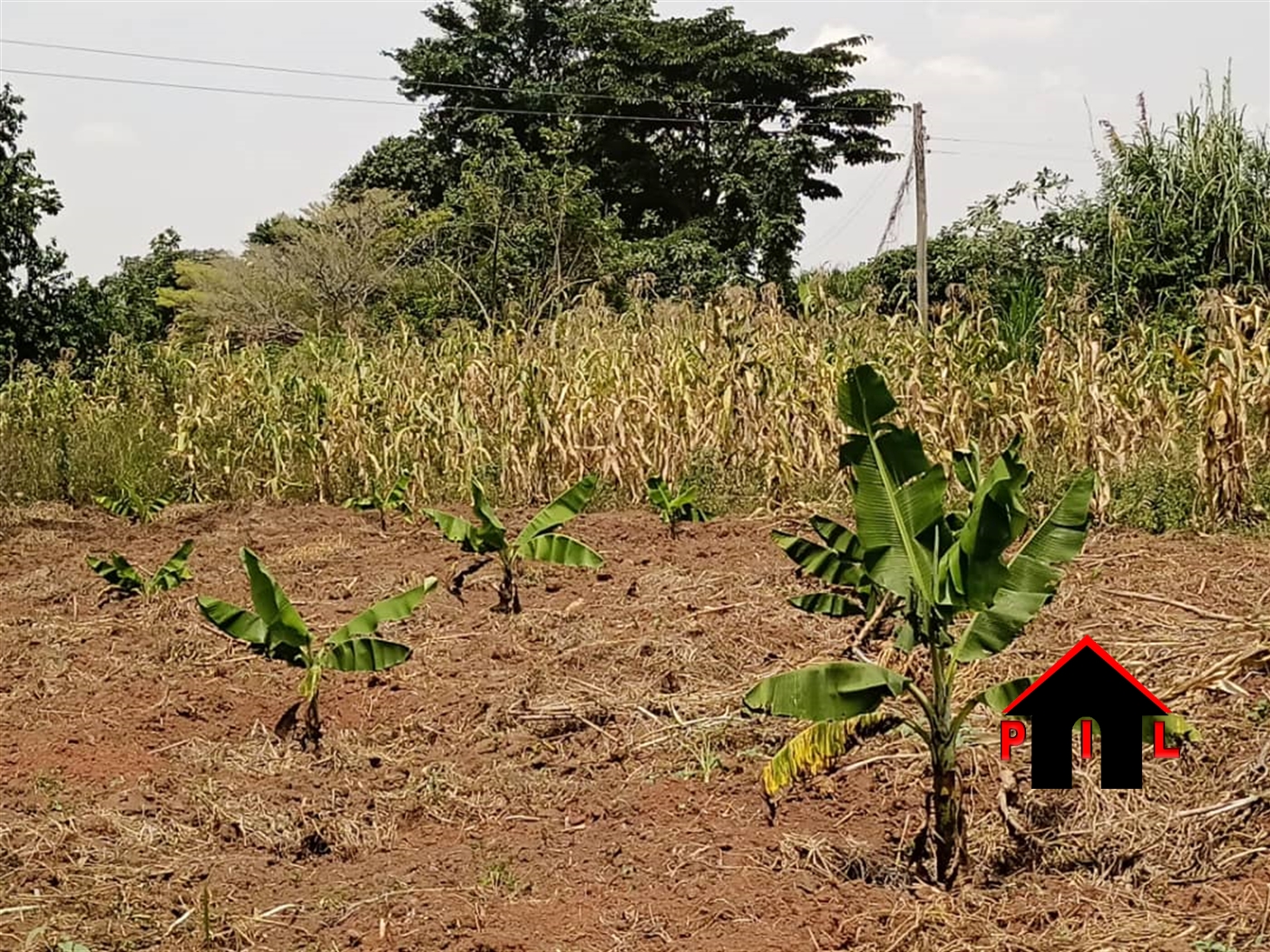 Residential Land for sale in Matuuga Wakiso