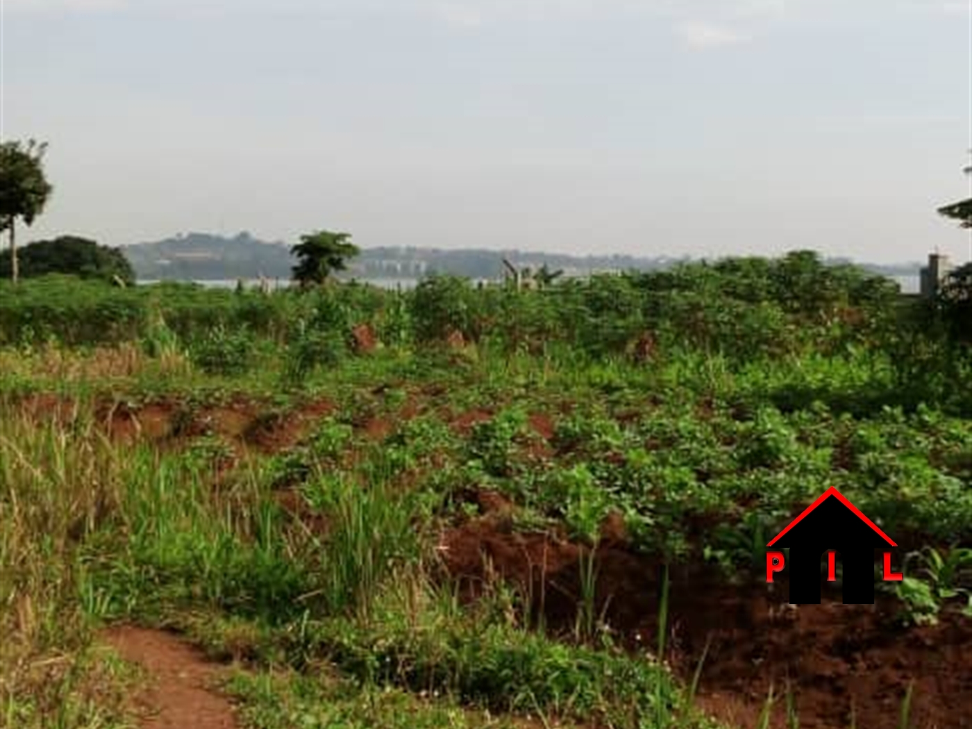 Residential Land for sale in Kyagwe Mukono