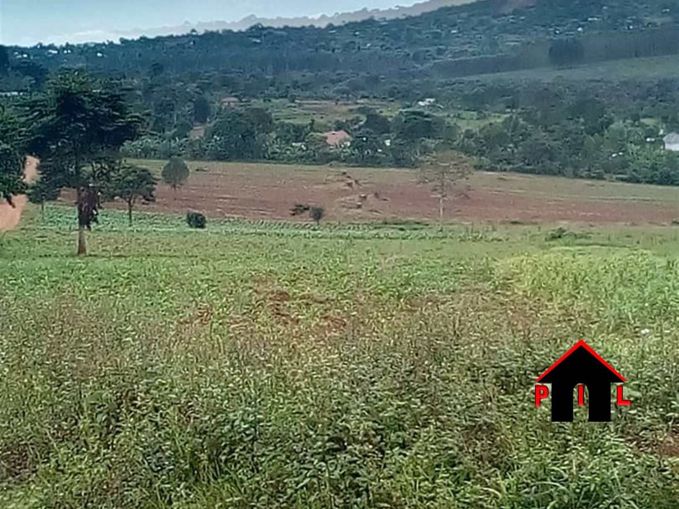 Residential Land for sale in Gulama Mukono