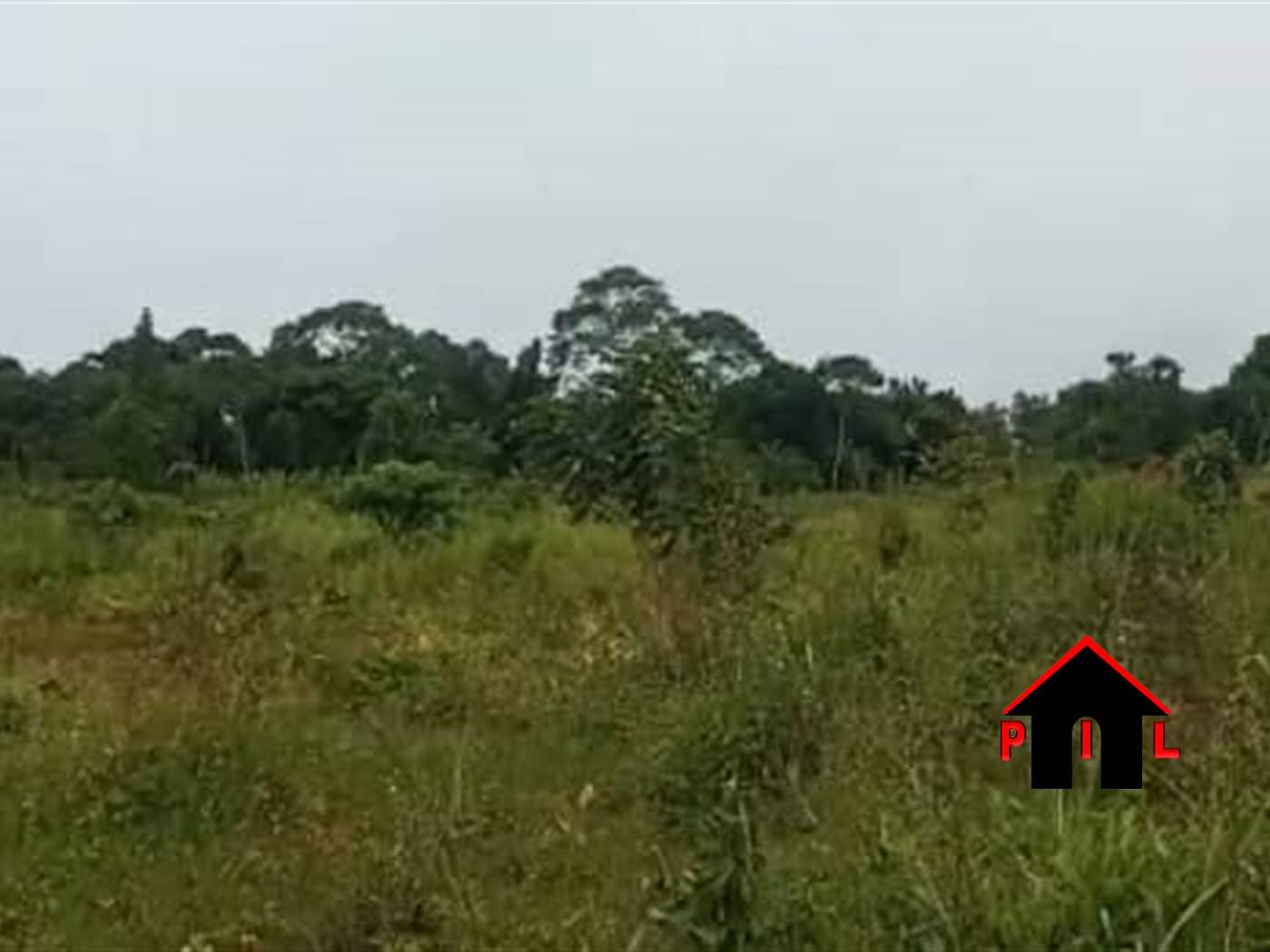 Agricultural Land for sale in Kiyuya Mubende