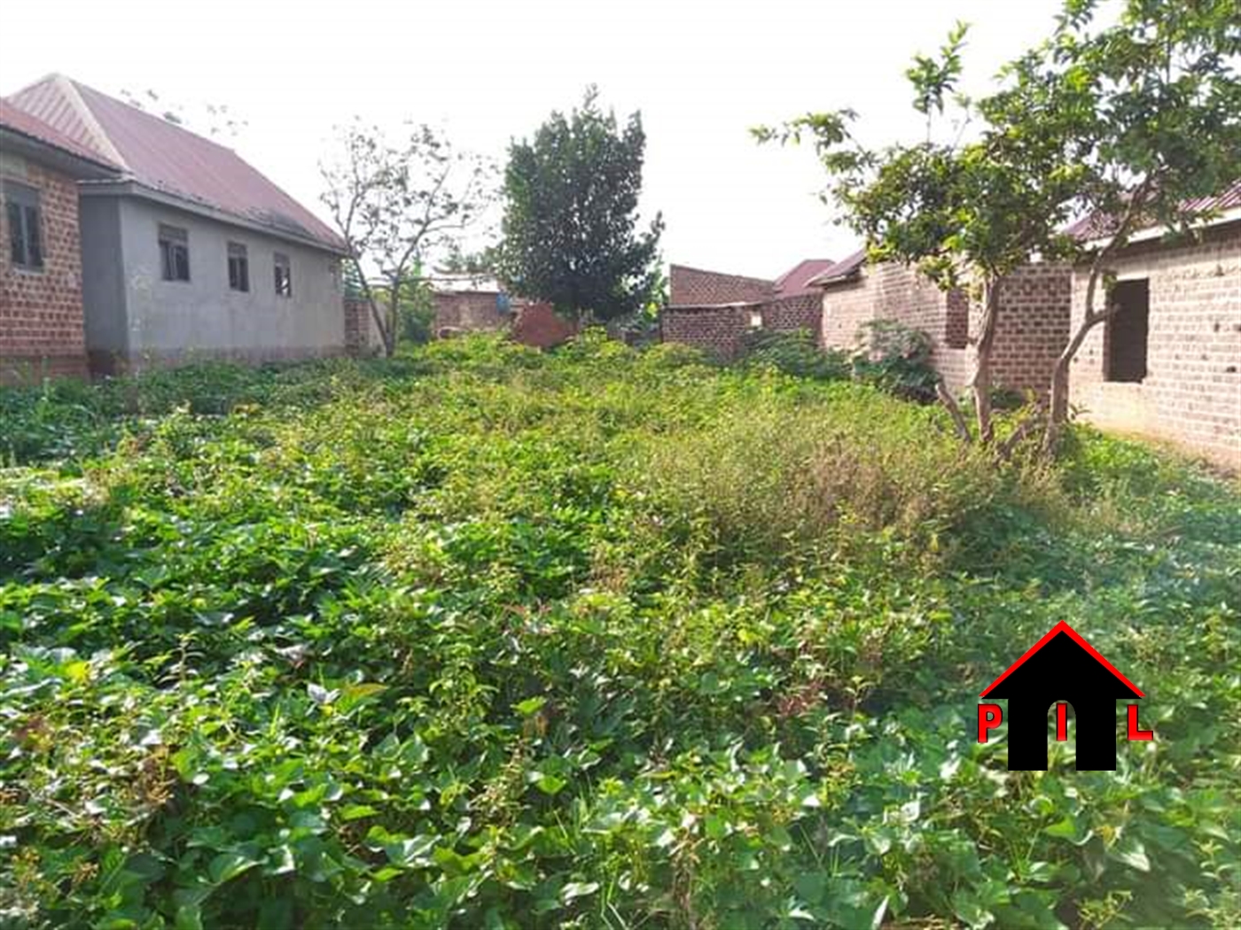 Residential Land for sale in Namulonge Wakiso