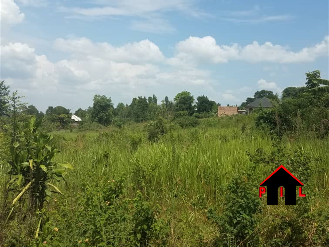 Agricultural Land for sale in Kiwenda Wakiso