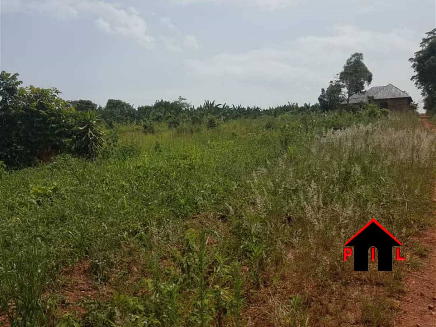 Agricultural Land for sale in Kiwenda Wakiso