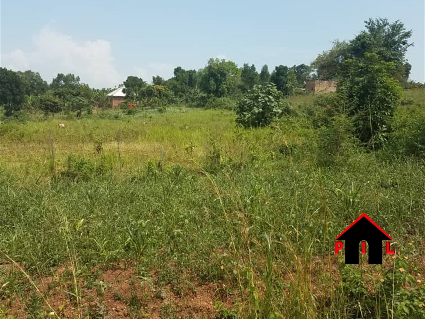 Agricultural Land for sale in Kiwenda Wakiso