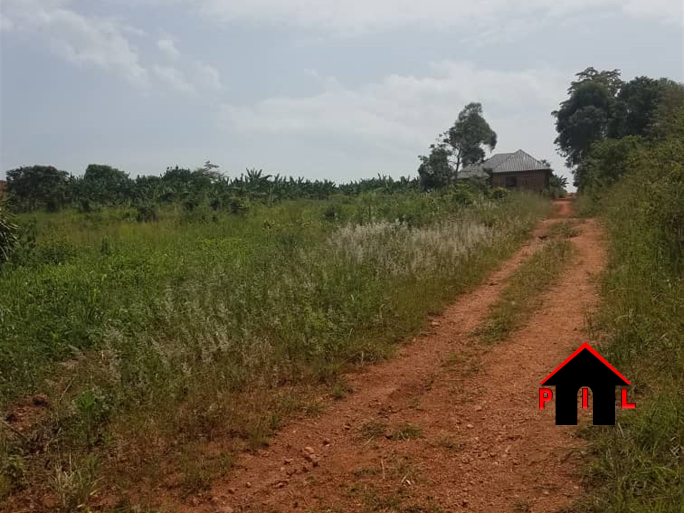 Agricultural Land for sale in Kiwenda Wakiso