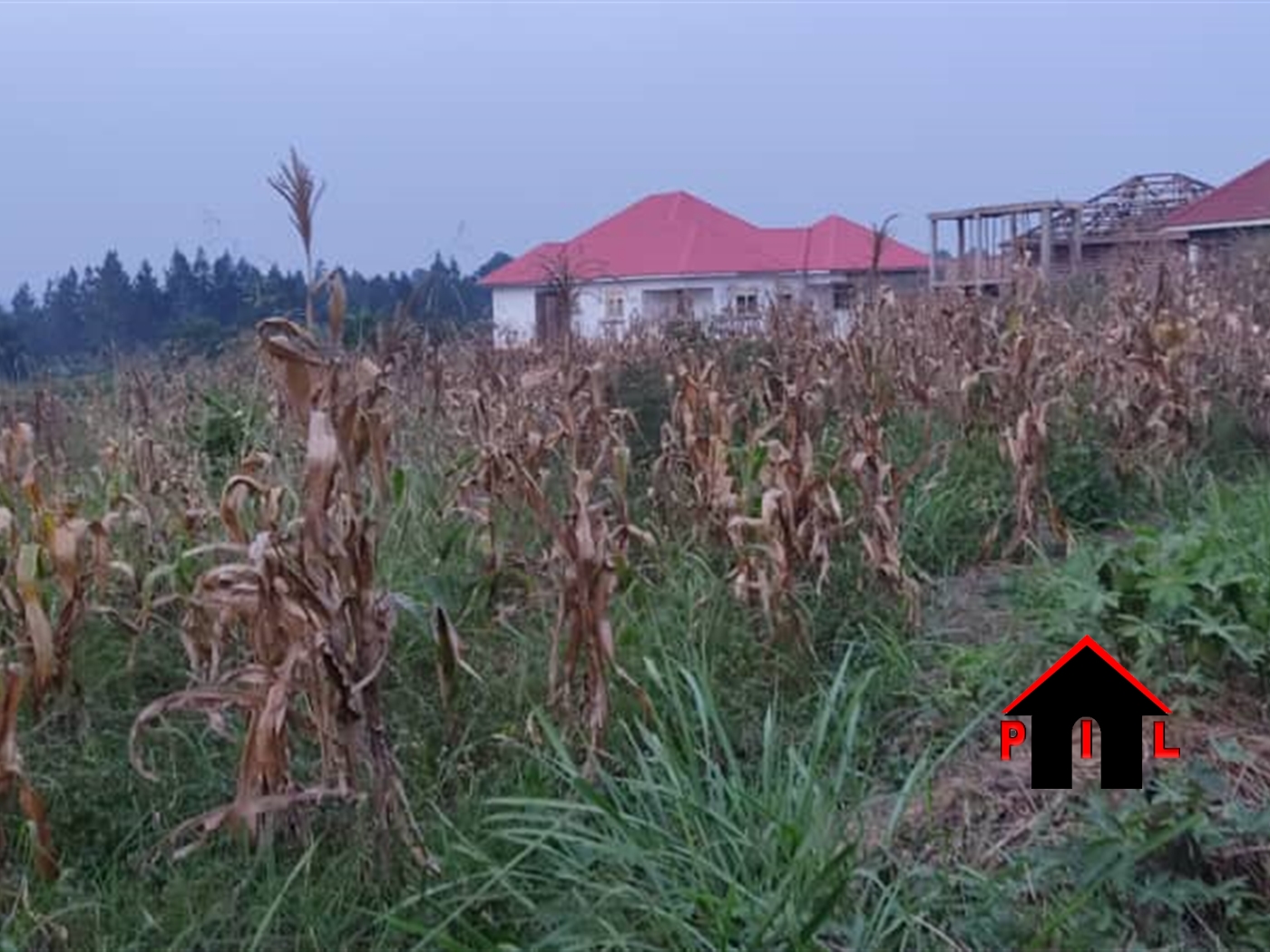 Residential Land for sale in Kira Wakiso