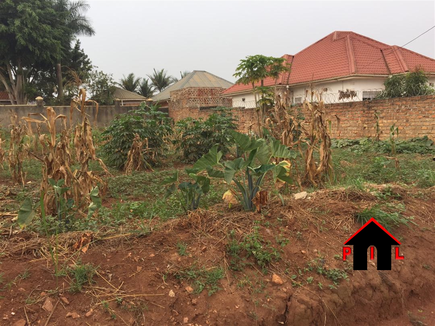 Residential Land for sale in Nsasa Wakiso