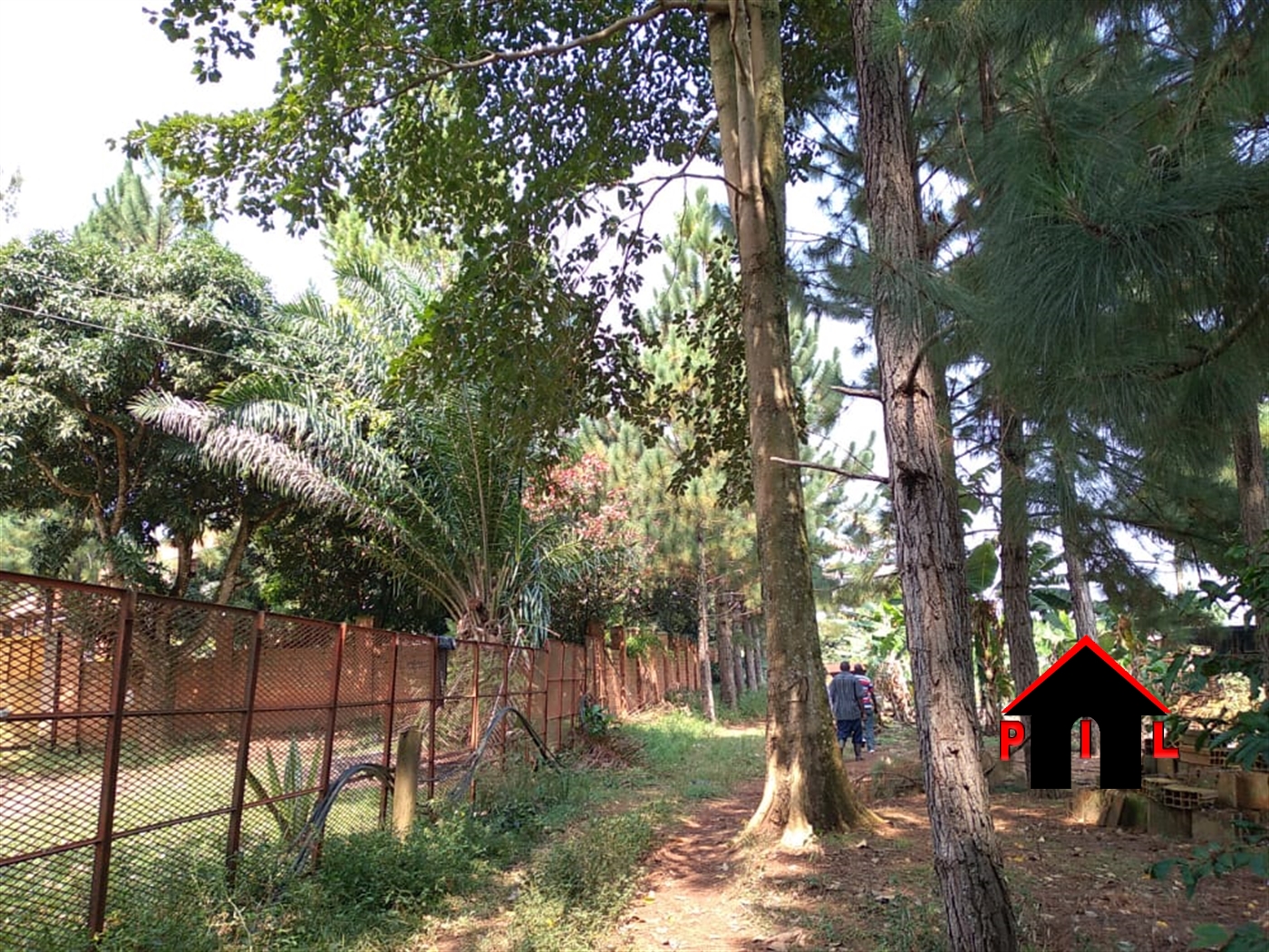 Residential Land for sale in Kawanda Wakiso