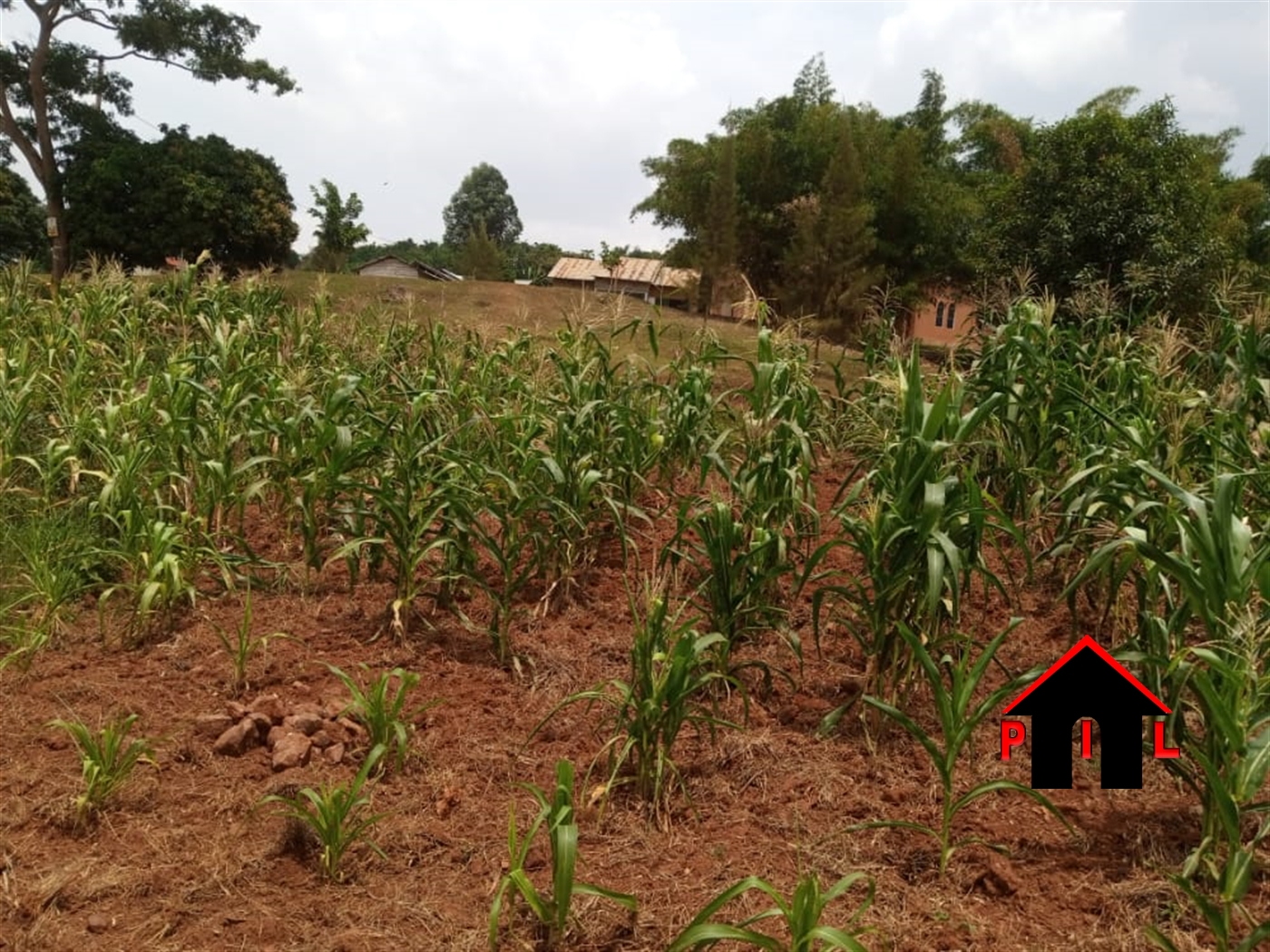 Residential Land for sale in Kitende Wakiso