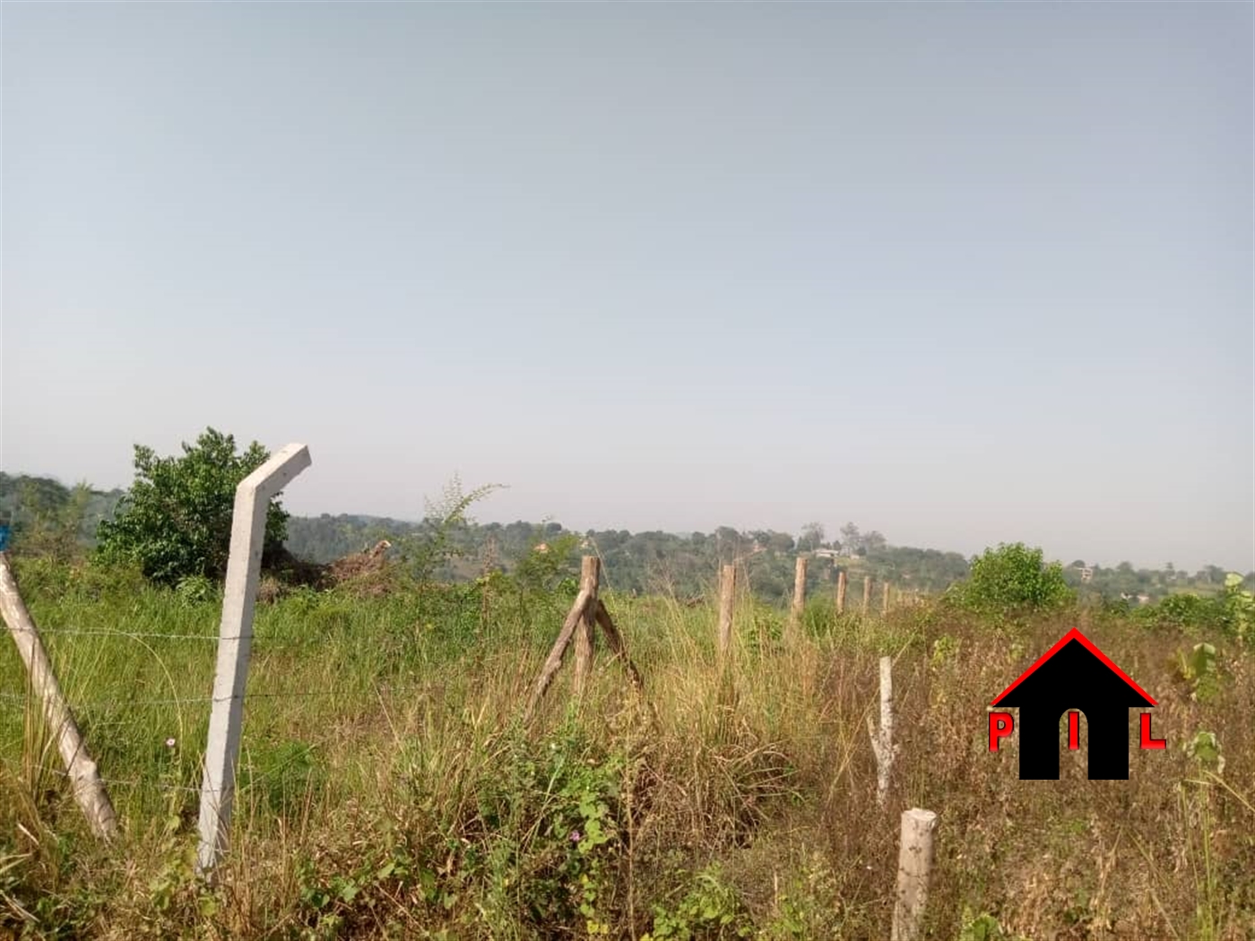Agricultural Land for sale in Mityana1 Mityana