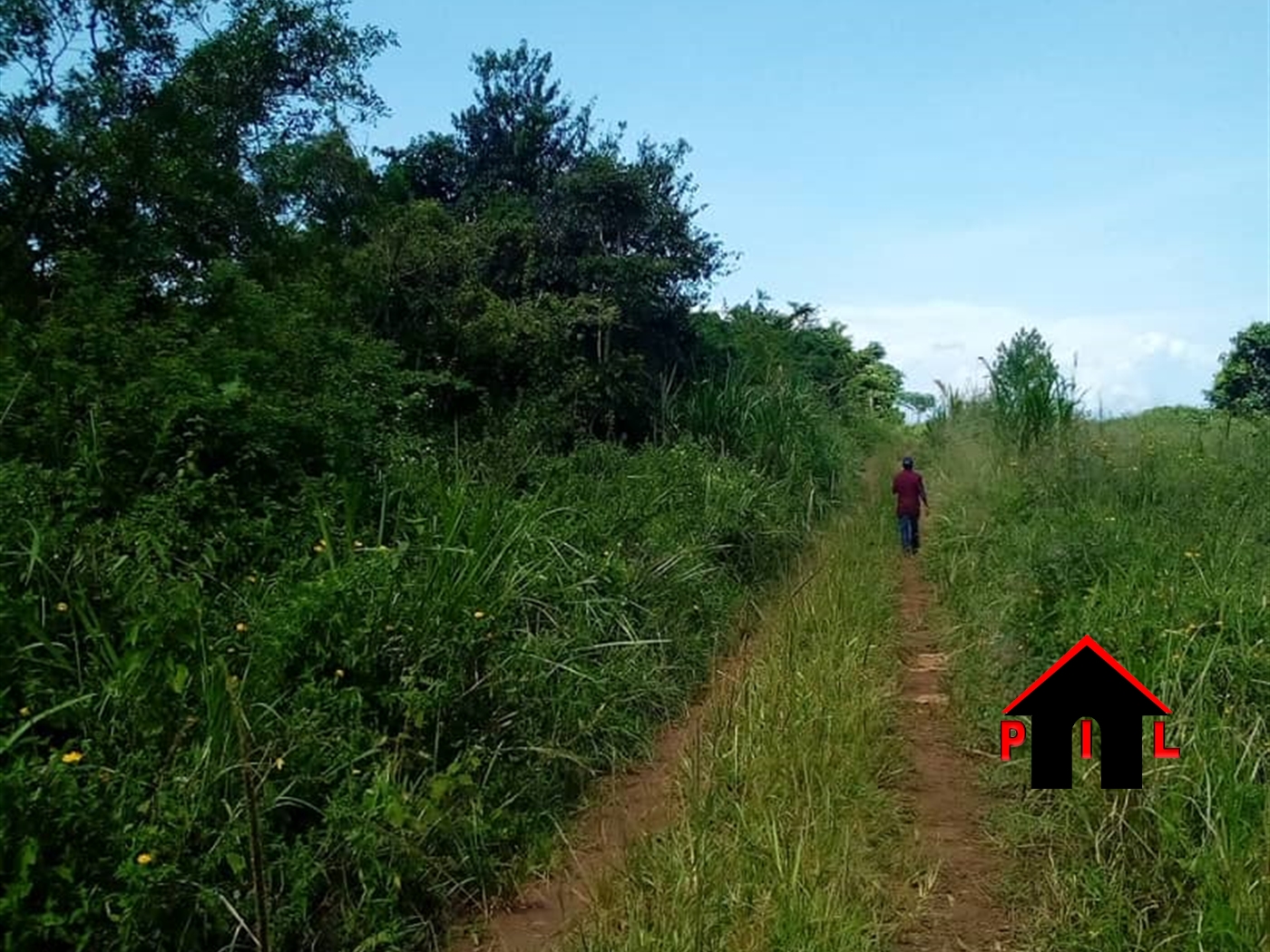 Residential Land for sale in Kawuku Wakiso