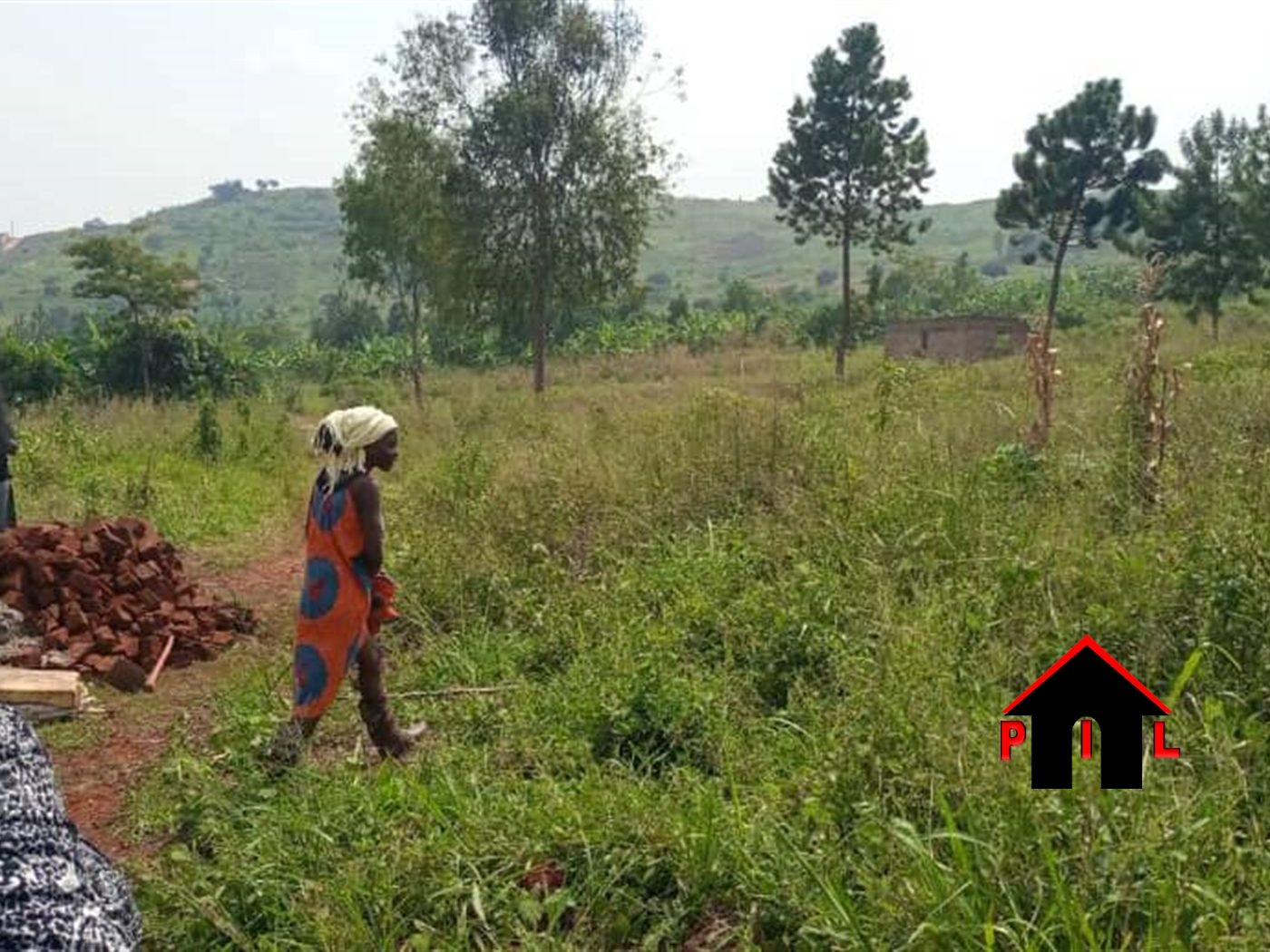 Residential Land for sale in Kiwenda Wakiso