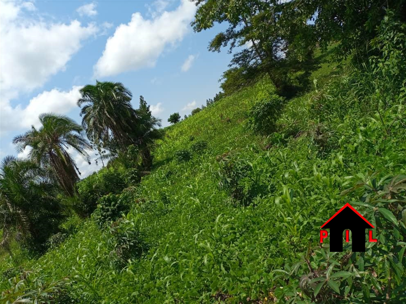 Residential Land for sale in Seguku Wakiso