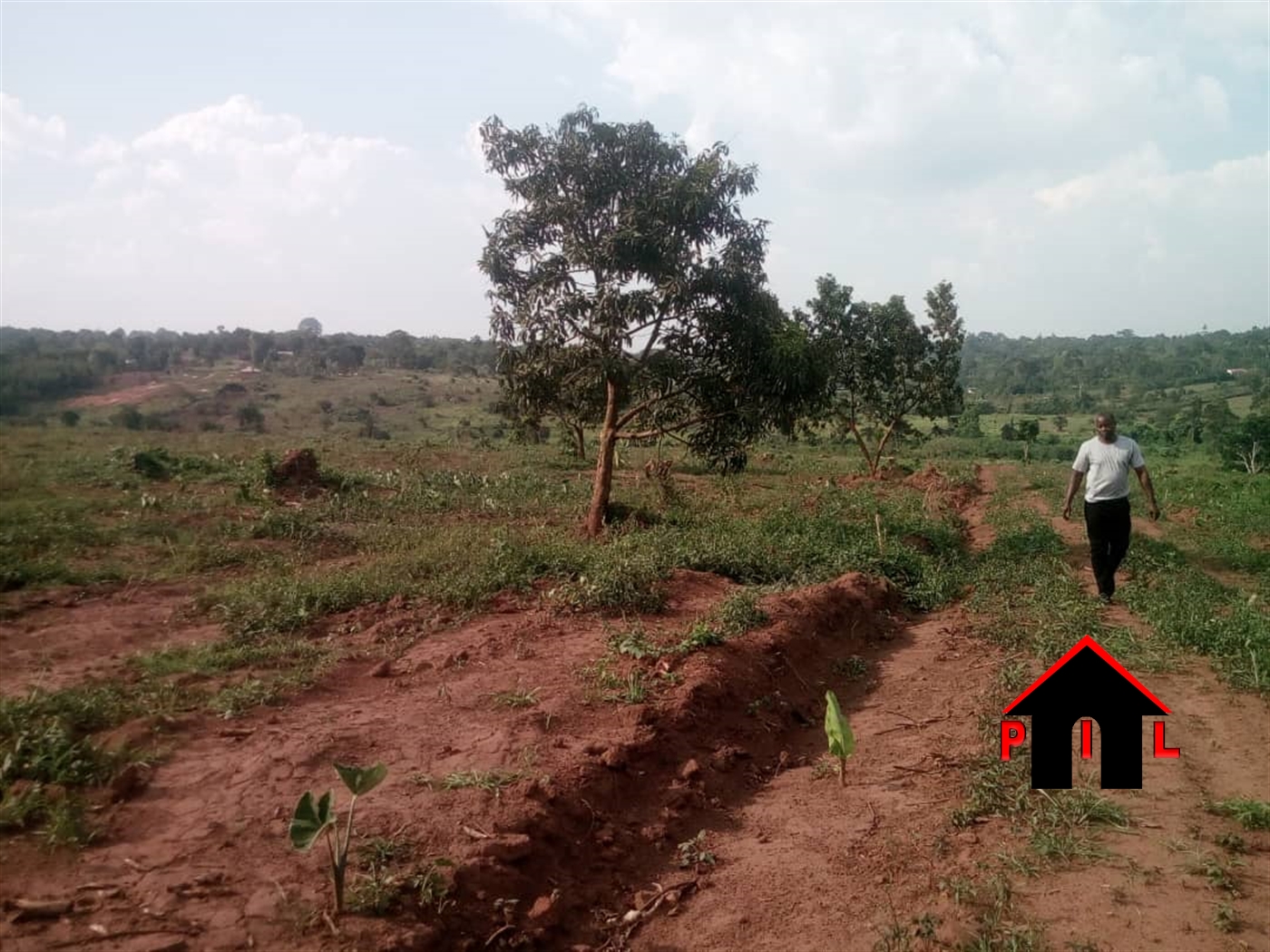 Residential Land for sale in Kitti Wakiso