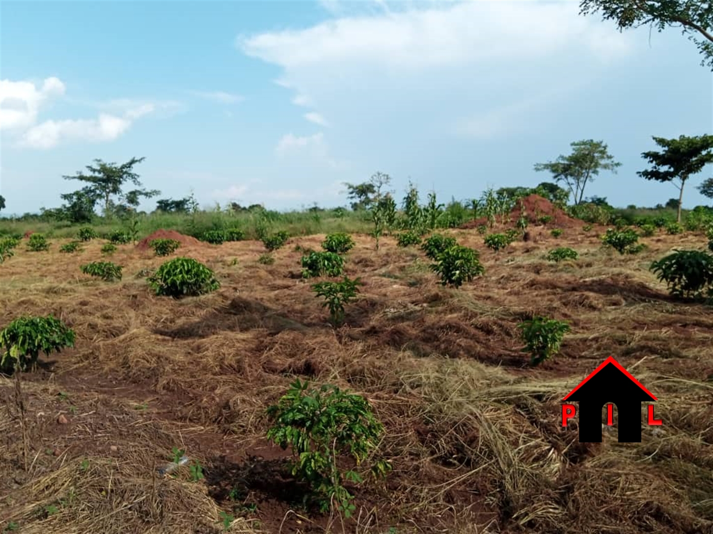 Agricultural Land for sale in Lumansi Luweero