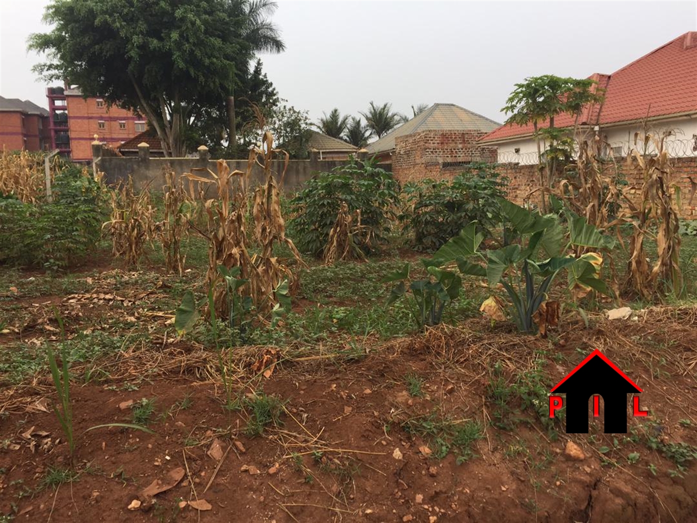 Residential Land for sale in Nsasa Wakiso