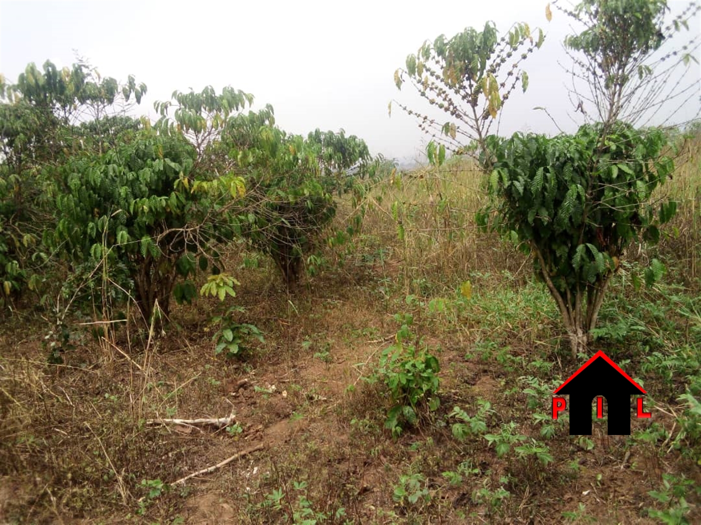 Residential Land for sale in Busiika Luweero