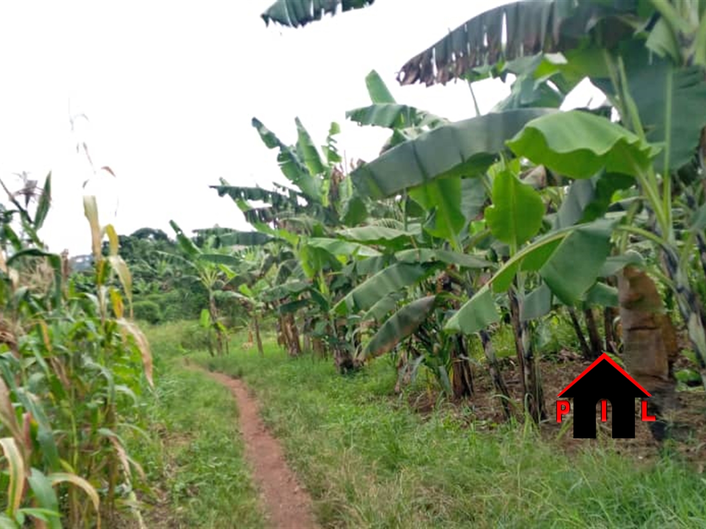 Residential Land for sale in Kiwenda Wakiso