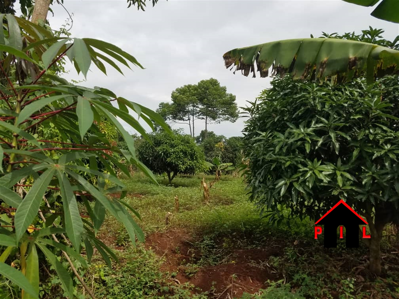 Residential Land for sale in Kiwenda Wakiso