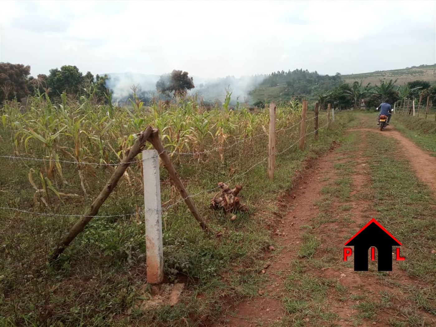 Residential Land for sale in Ntawo Mukono