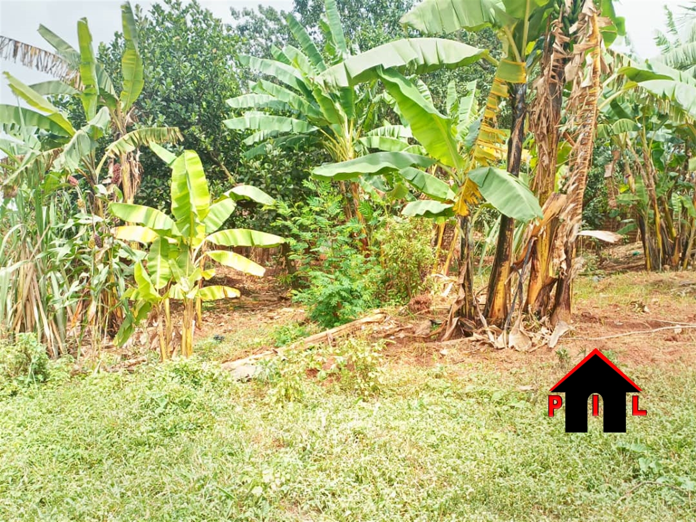 Residential Land for sale in Kiwaatule Kampala