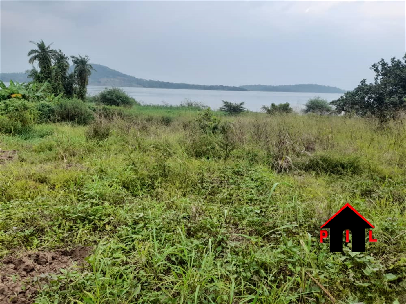 Agricultural Land for sale in Mpatta Mukono