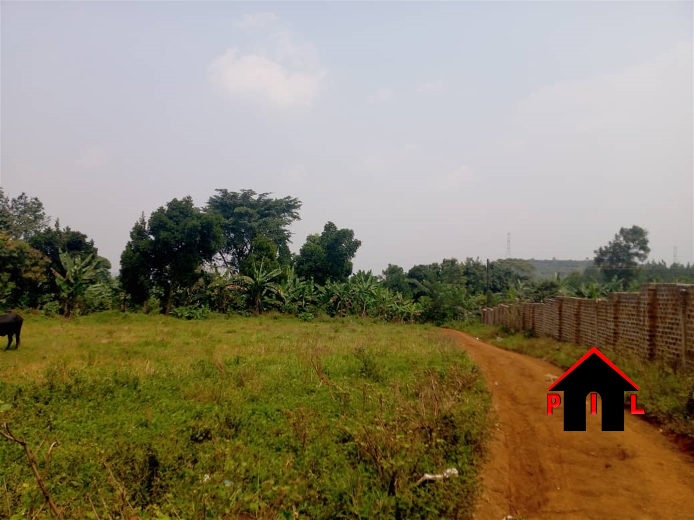 Residential Land for sale in Kiwenda Wakiso