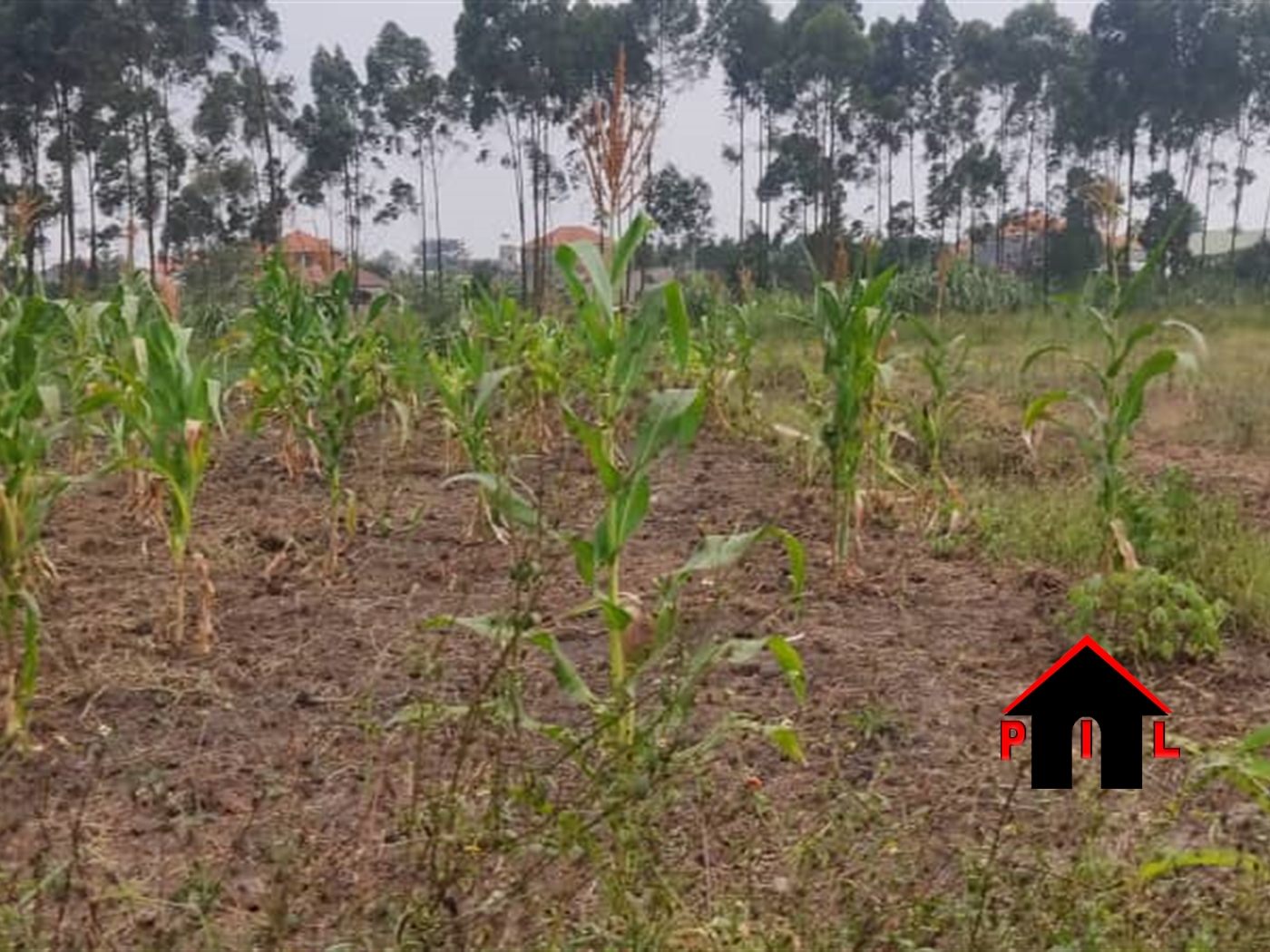 Residential Land for sale in Kyaliwajjala Wakiso