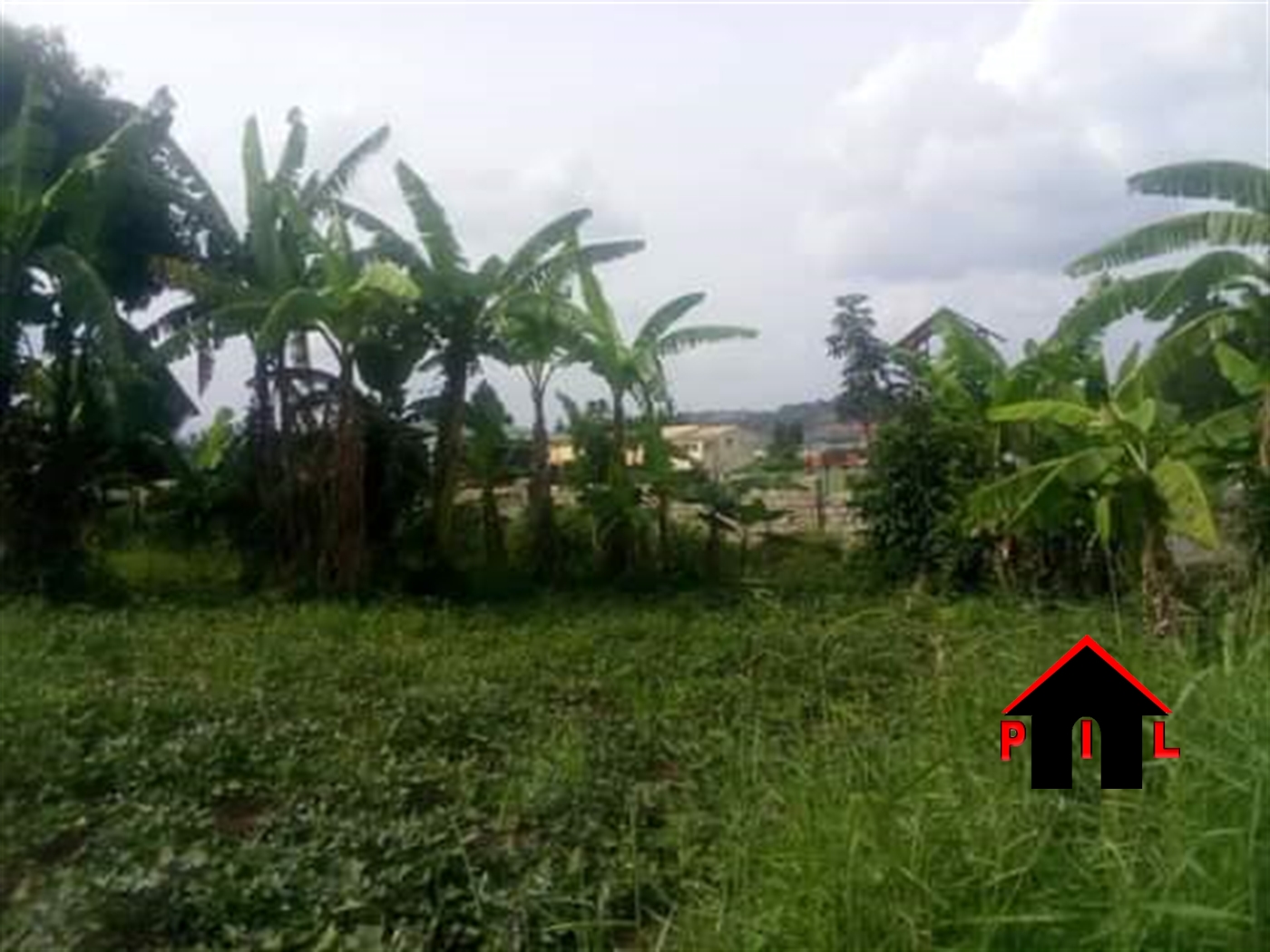 Agricultural Land for sale in Kiwenda Wakiso