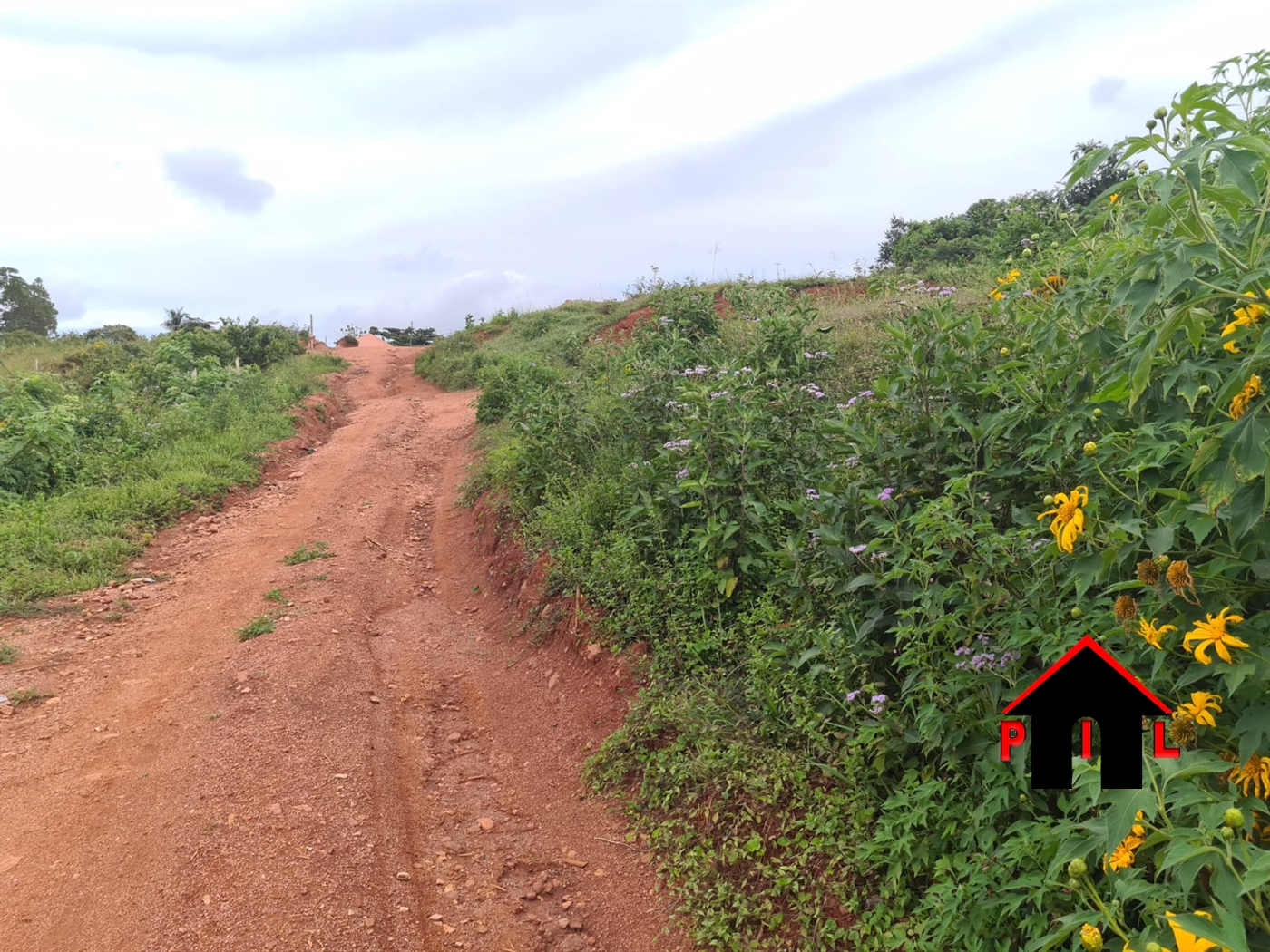 Agricultural Land for sale in Katosi Mukono