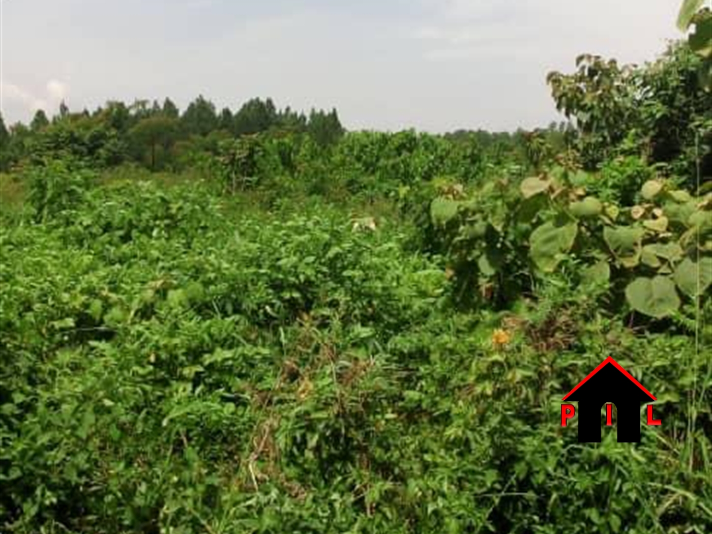 Residential Land for sale in Busiika Luweero