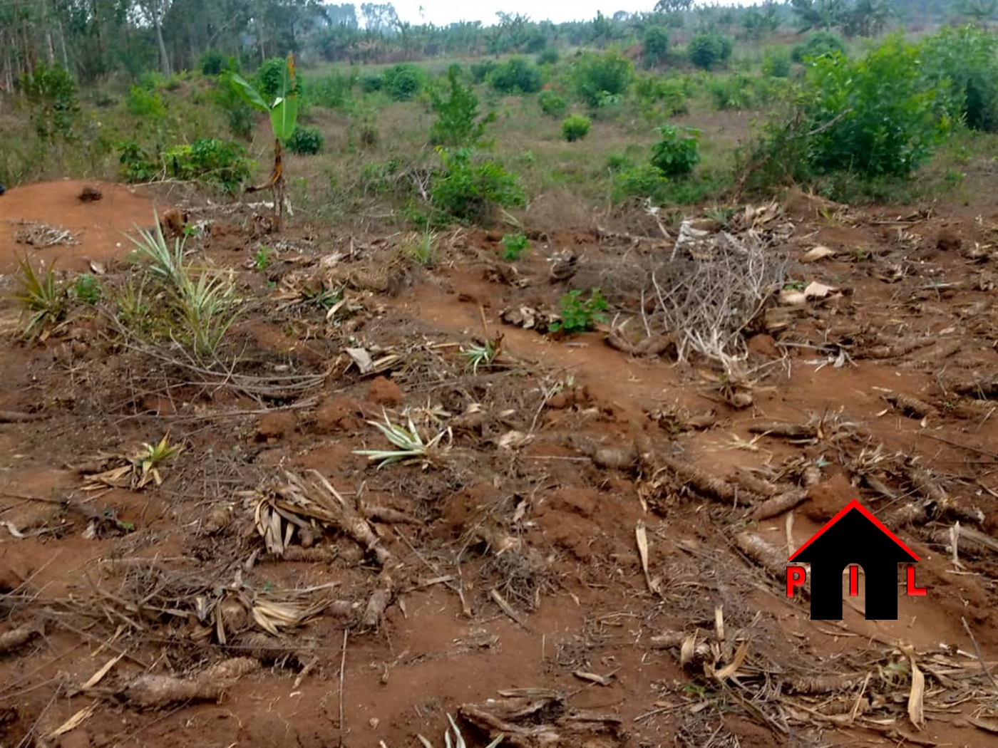 Residential Land for sale in Mutundwe Kampala