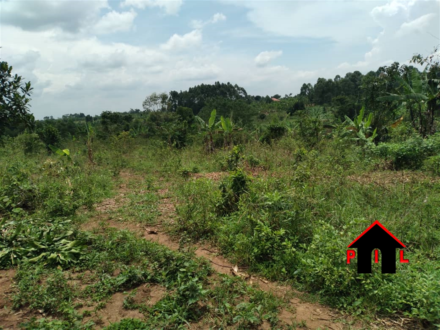 Residential Land for sale in Kiwenda Wakiso