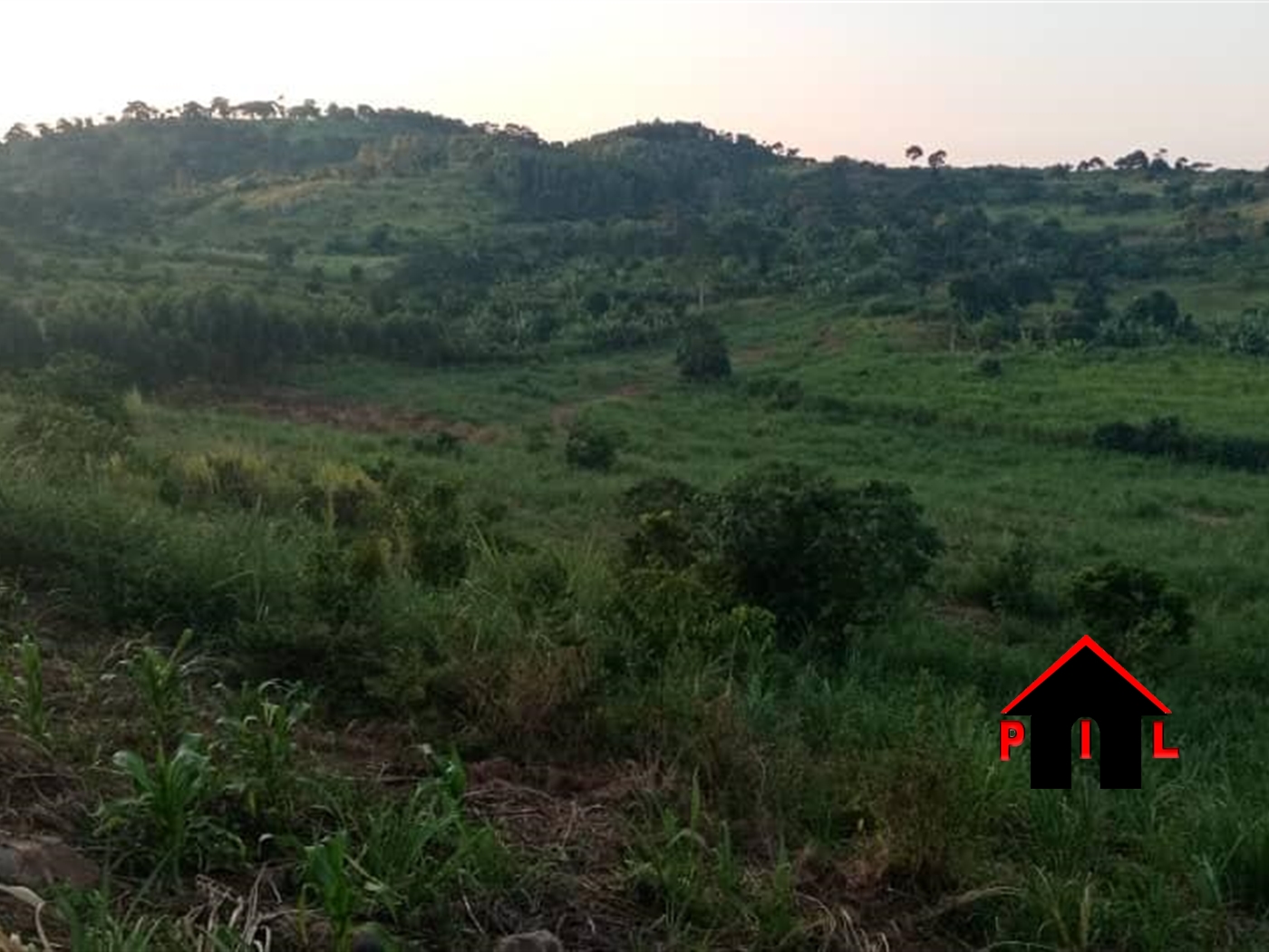 Agricultural Land for sale in Bugambe Hoima