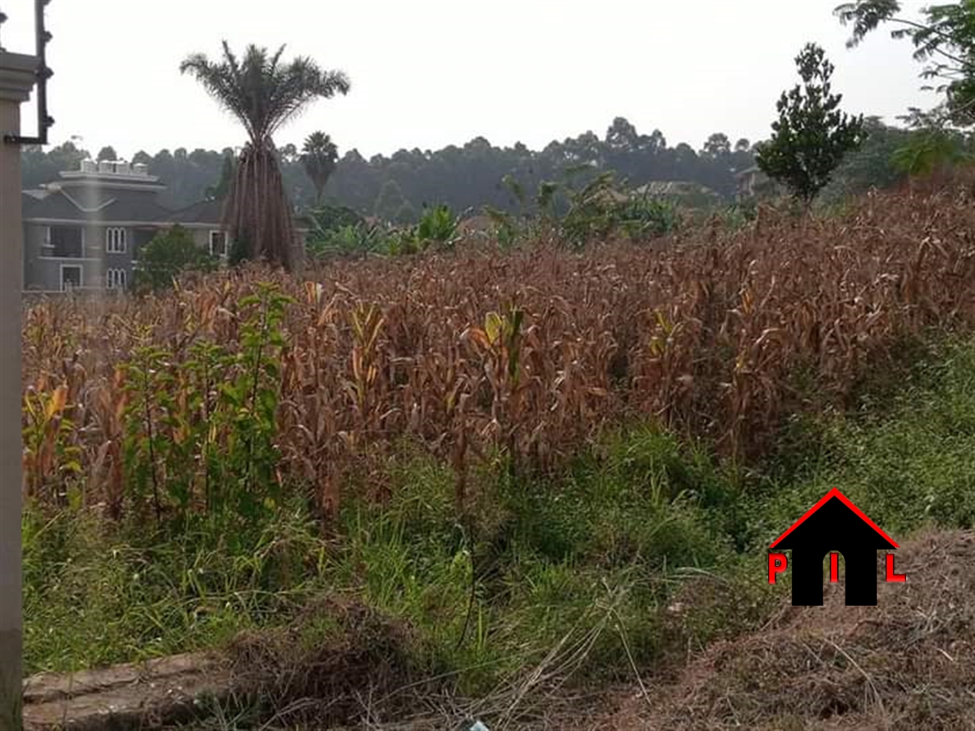 Residential Land for sale in Kira Wakiso