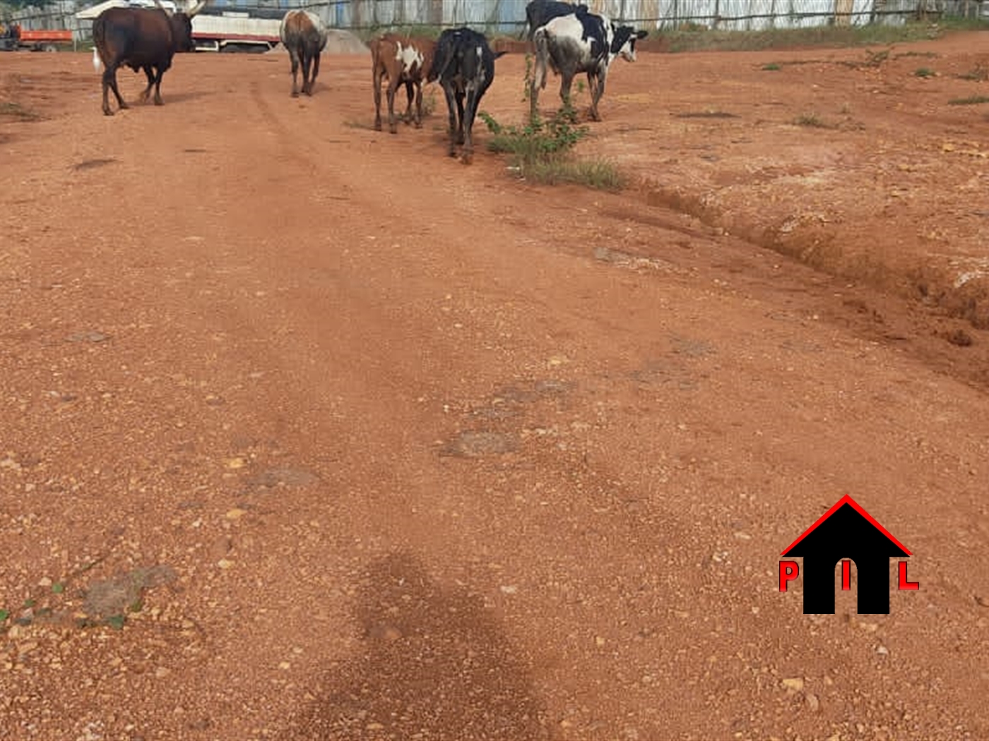 Agricultural Land for sale in Bweyale Masindi