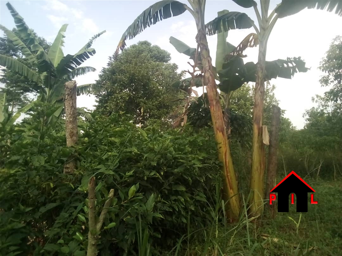 Residential Land for sale in Kira Wakiso