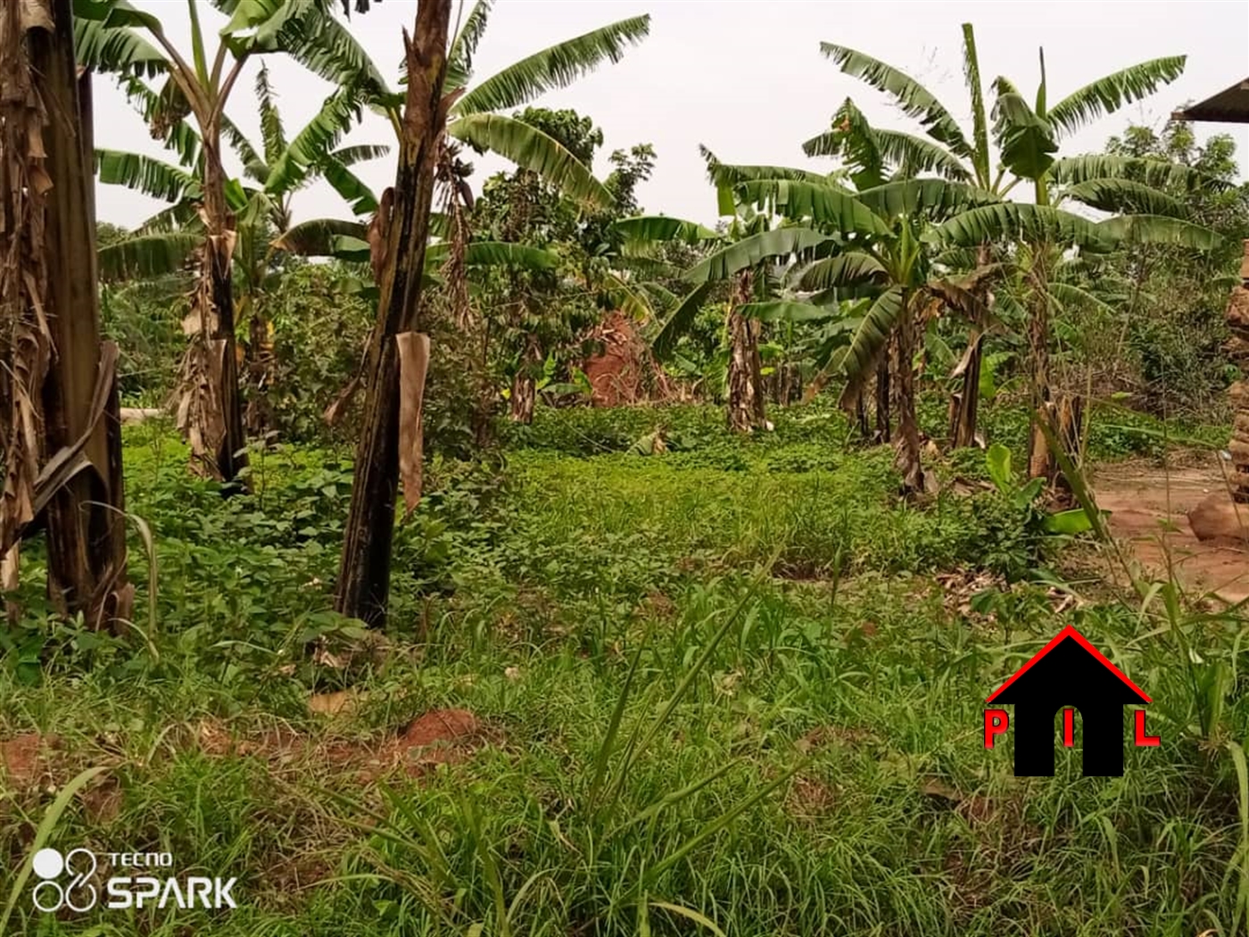 Agricultural Land for sale in Busukuma Wakiso