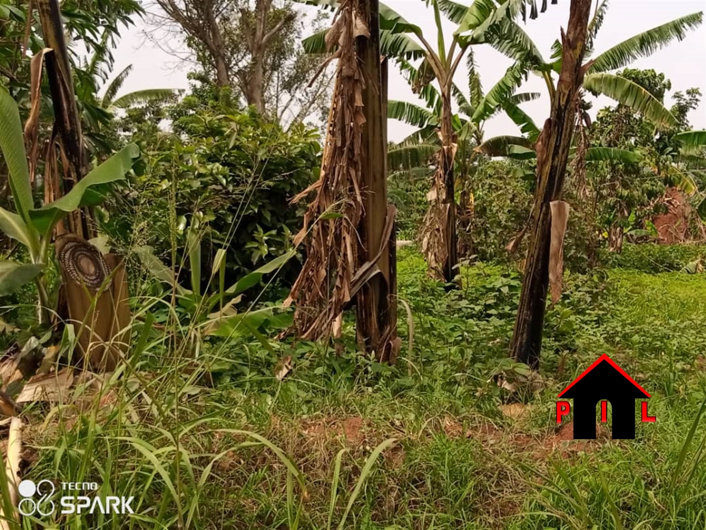 Agricultural Land for sale in Busukuma Wakiso