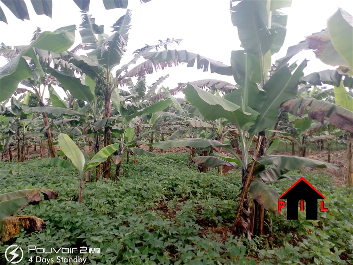 Agricultural Land for sale in Buwooya Mukono