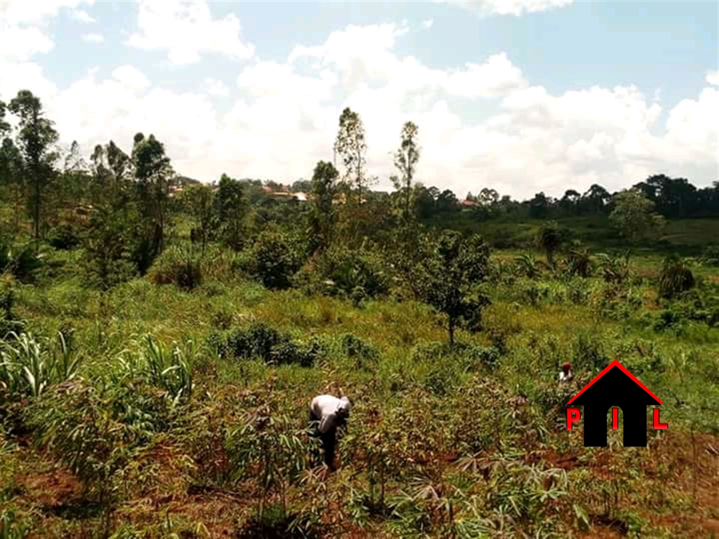 Residential Land for sale in Ngandu Mukono